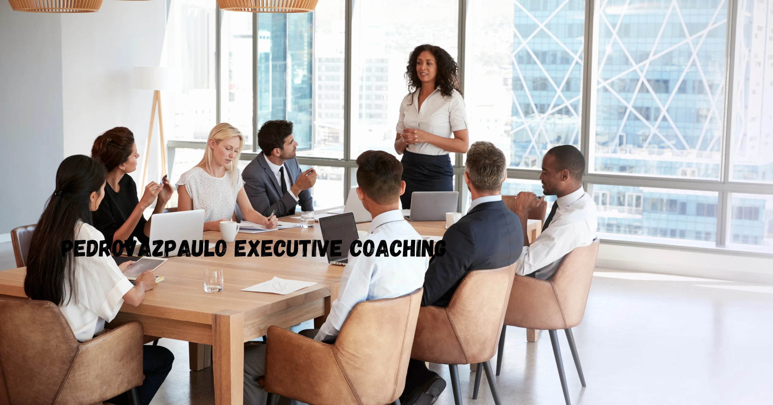 Pedrovazpaulo Executive Coaching